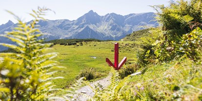 Ausflug mit Kindern - Vorarlberg - Gauertaler AlpkulTour