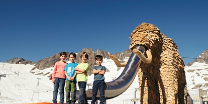 Ausflug mit Kindern - Neustift im Stubaital - Mammut Abenteuerspielplatz