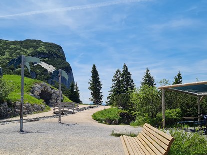 Ausflug mit Kindern - Österreich - Triassic Park auf der Steinplatte