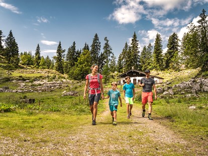Ausflug mit Kindern - Kitzbüheler Alpen - Steinplatte Waidring Triassic Park  - Triassic Park auf der Steinplatte