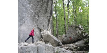Ausflug mit Kindern - Wals - Die großen Felsblöcke in den Steinklüften laden zum Kraxeln ein.  - Steinklüfte und Plombergstein
