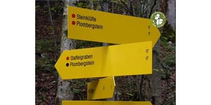 Ausflug mit Kindern - Salzburg - Mehrere Wege führen zum Ziel.  - Steinklüfte und Plombergstein