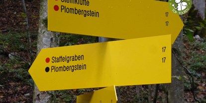 Ausflug mit Kindern - Wals - Steinklüfte und Plombergstein