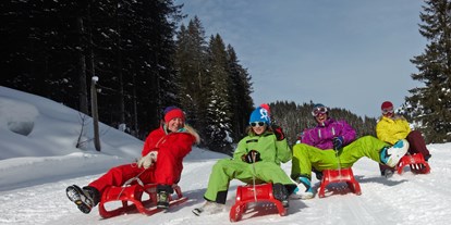 Ausflug mit Kindern - Ausflugsziel ist: ein Skigebiet - Rodelbahn Spielberghaus