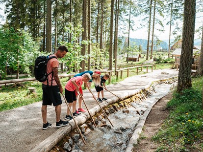 Ausflug mit Kindern - Steiermark - Mariazeller Bürgeralpe