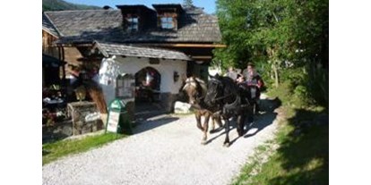 Ausflug mit Kindern - Kärnten - Pferdekutschen Erlebnisfahrten - Trattlers Ponyfarm 