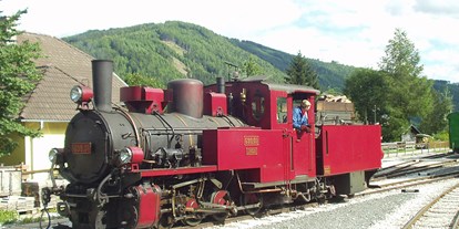 Ausflug mit Kindern - Lungau - Heeresfeldbahn-Dampflokomotive 699.01 der Taurachbahn - Taurachbahn