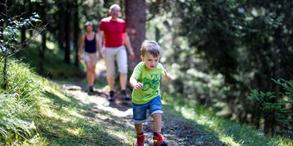 Ausflug mit Kindern - Steiermark - Sagenhaftes Wölzertal - Sagenweg - Sagenhaftes Wölzertal