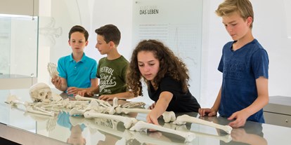 Ausflug mit Kindern - Salzburg - Knochenlabor - Keltenmuseum Hallein