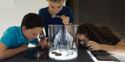Ausflug mit Kindern - Tennengau - Kelten und Urgeschichte entdecken - Keltenmuseum Hallein
