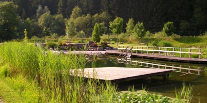 Ausflug mit Kindern - Lienz (Lienz) - Naturschwimmbad Waldbad Mauthen