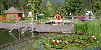 Ausflug mit Kindern - Lienz (Lienz) - Naturschwimmbad Waldbad Mauthen
