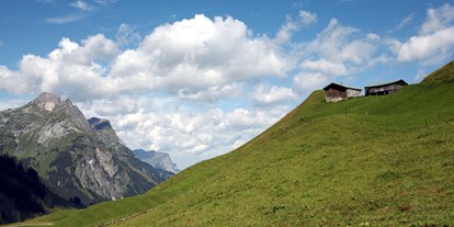 Ausflug mit Kindern - Vorarlberg - Alpe Batzen - Alpmuseum "uf'm Tannberg"