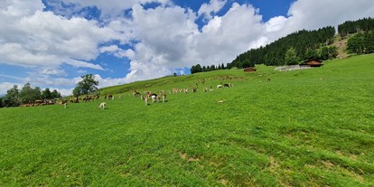 Ausflug mit Kindern - Tirol - Wildpark Aurach