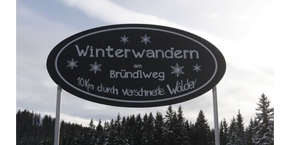 Ausflug mit Kindern - Hochsteiermark - Eine romantische Winterwanderung am Bründlweg ist super! - Romantischer Bründlweg am Pogusch