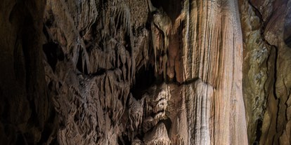 Ausflug mit Kindern - Der Riese  -  größter, freihängender Tropfstein der Welt - Lurgrotte Semriach