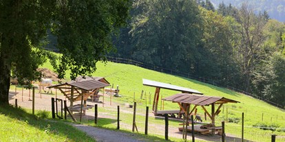 Ausflug mit Kindern - Flachgau - Wanderung zur Wolfschwangalm