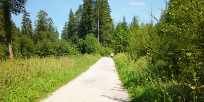 Ausflug mit Kindern - Flachgau - Nur vereinzelt geht man in der Sonne, der Weg ist äußerst schattig - Wanderung zur Wolfschwangalm