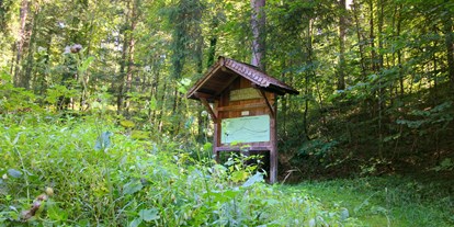 Ausflug mit Kindern - Flachgau - An mehreren Stellen findet man Quiz-Tafeln des Untersberg Waldquizweg - Wanderung zur Wolfschwangalm