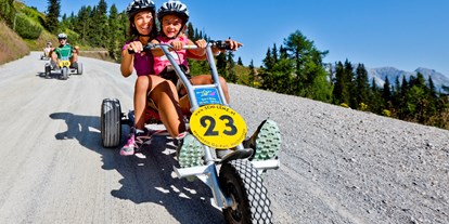 Ausflug mit Kindern - Schladming-Dachstein - Mountain Gokart auf der Hochwurzen