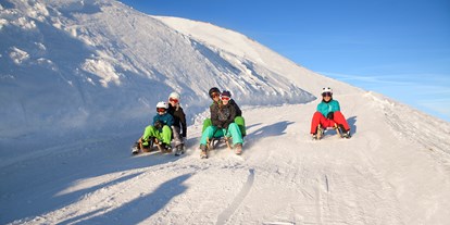 Ausflug mit Kindern - Ausflugsziel ist: ein Skigebiet - 14 Km lange Rodelbahn am Wildkogel