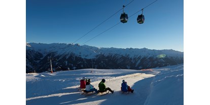 Ausflug mit Kindern - Ausflugsziel ist: ein Skigebiet - 14 Km lange Rodelbahn am Wildkogel