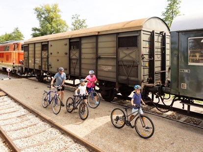 Ausflug mit Kindern - Österreich - Bahnerlebnis Reblaus Express