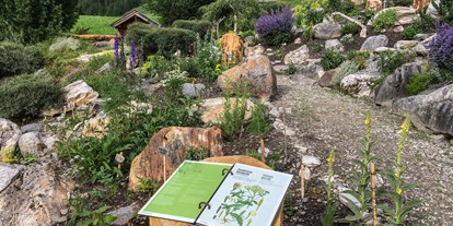 Ausflug mit Kindern - Wipptal - Informationsblätter - Alpenblumengarten